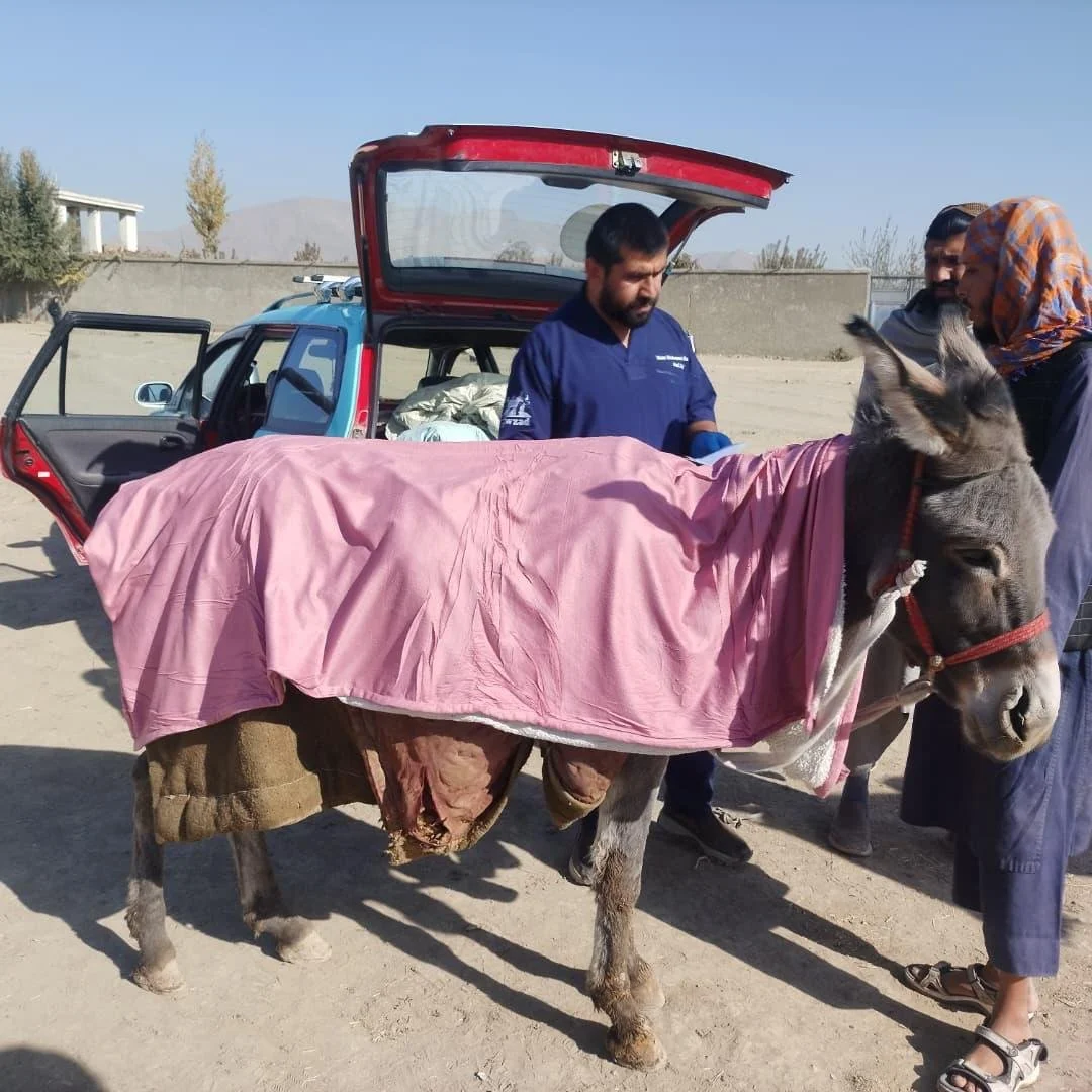 Copy of WhatsApp Image 2025-11-12 at 10.53.38 PM(5).jpeg