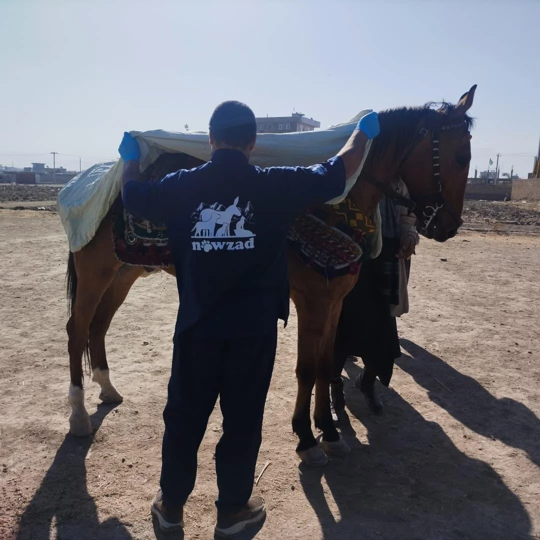 Copy of WhatsApp Image 2025-11-12 at 10.53.38 PM(7).jpeg