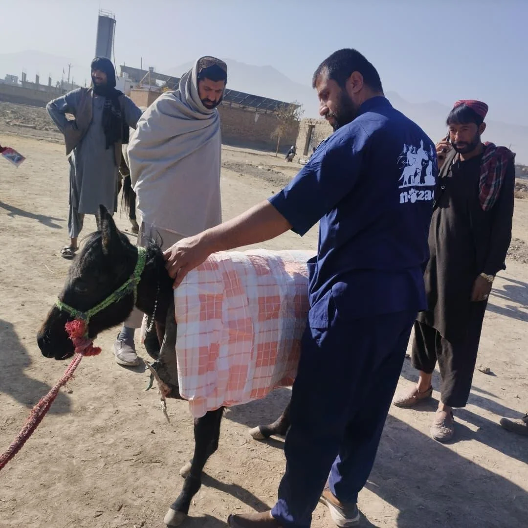 Copy of WhatsApp Image 2025-11-12 at 10.53.38 PM(13).jpeg