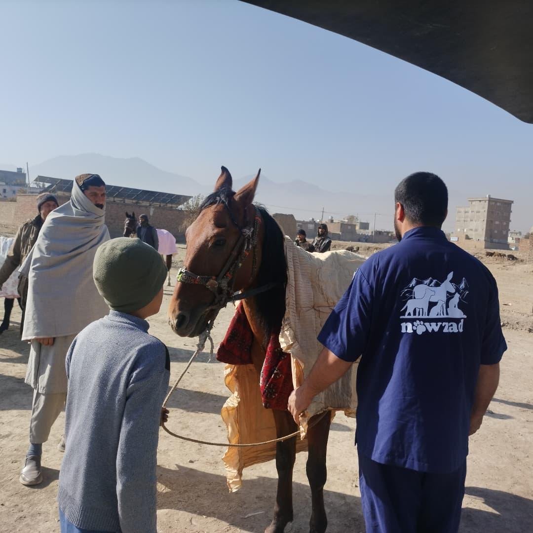 Copy of WhatsApp Image 2025-11-12 at 10.53.38 PM(18).jpeg