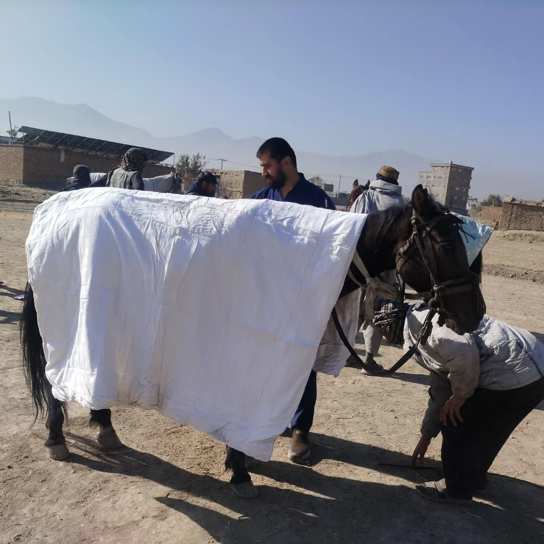 Copy of WhatsApp Image 2025-11-12 at 10.53.38 PM(9).jpeg