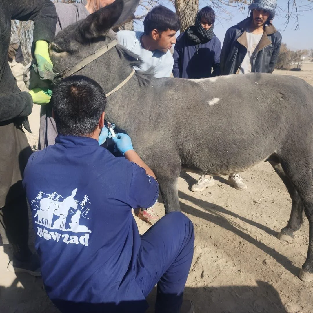 Copy of WhatsApp Image 2025-11-18 at 10.23.32 PM(9).jpeg