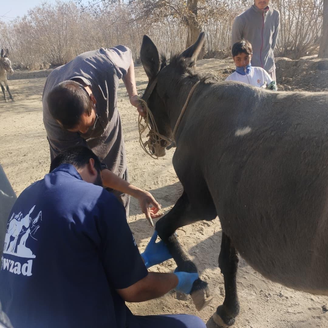 Copy of WhatsApp Image 2025-11-18 at 10.23.32 PM(13).jpeg