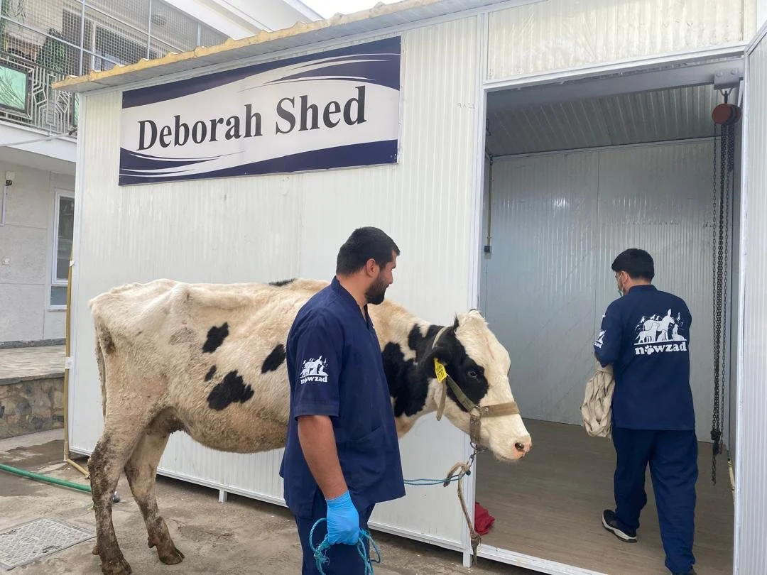 Copy of WhatsApp Image 2025-11-17 at 12.03.16 AM(14).jpeg