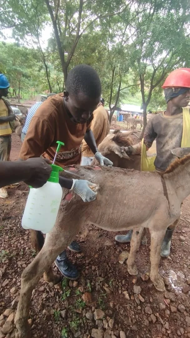 1.Abbrassive wounds cleaning.jpeg