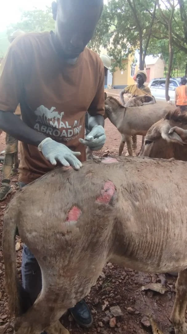 2.Abrassive wound during gel application.jpeg