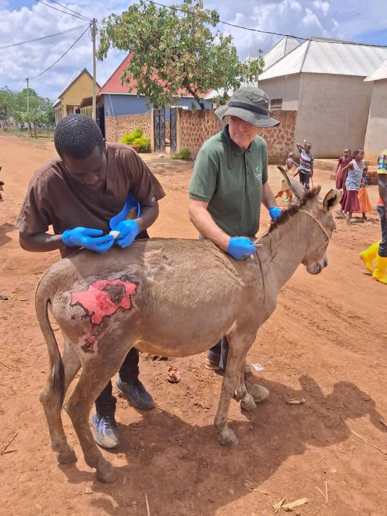 6.Conctinued, gel application.jpeg