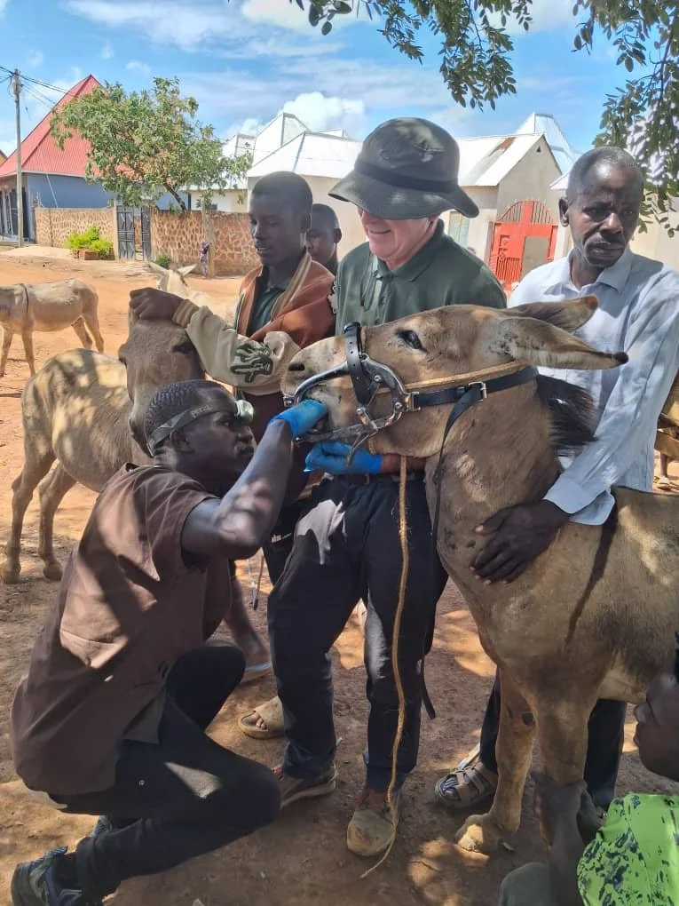 A Special Visit from an Equine Vet + New Equipment Improves Donkeys’ Welfare