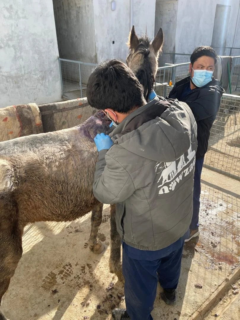 WhatsApp Image 2025-12-13 at 2.18.56 AM.jpeg