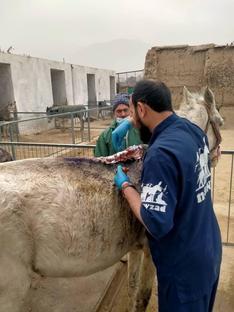 WhatsApp Image 2025-12-16 at 5.36.19 AM(6).jpeg