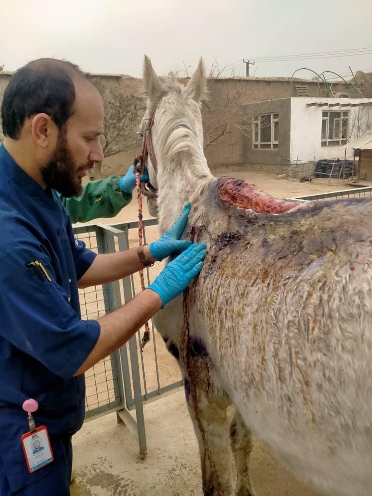 WhatsApp Image 2025-12-16 at 5.36.20 AM(1).jpeg