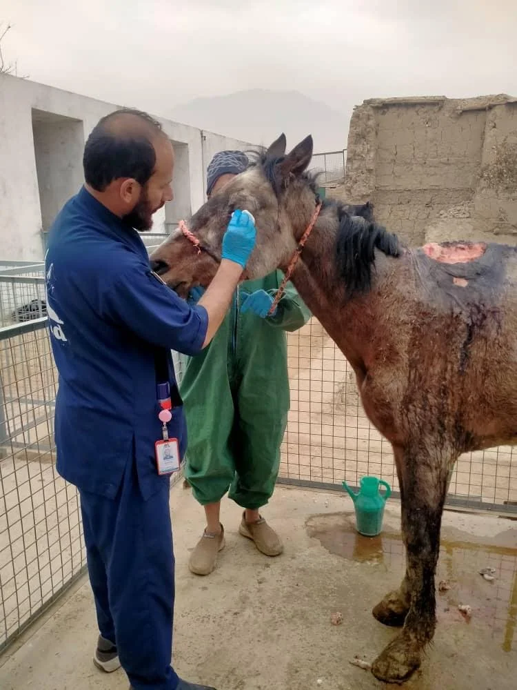 WhatsApp Image 2025-12-16 at 5.36.20 AM(5).jpeg