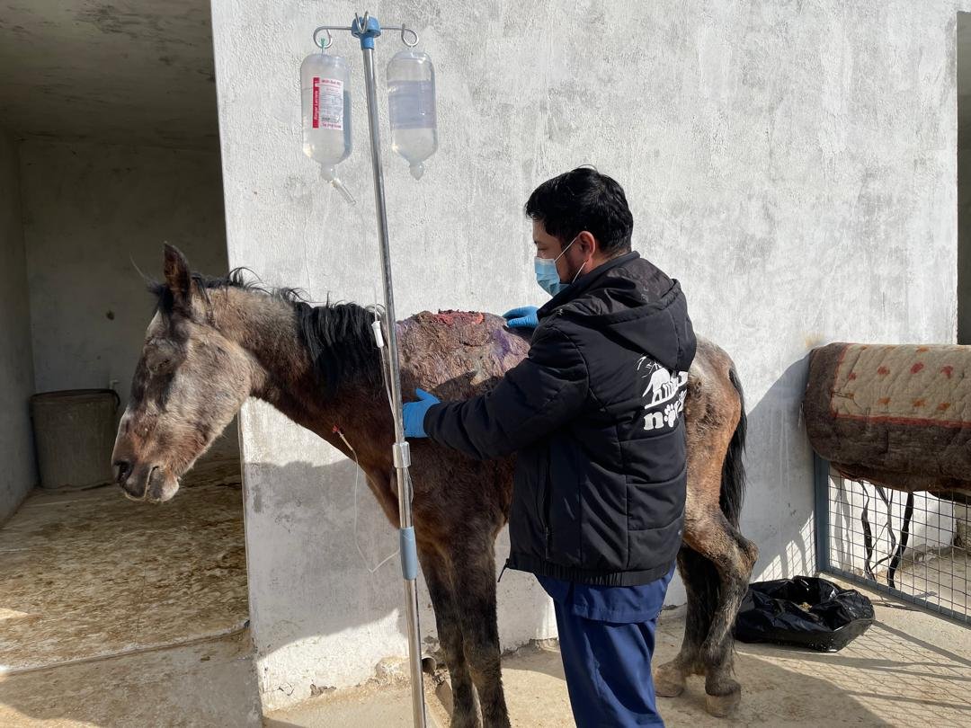 WhatsApp Image 2025-12-13 at 2.18.51 AM.jpeg