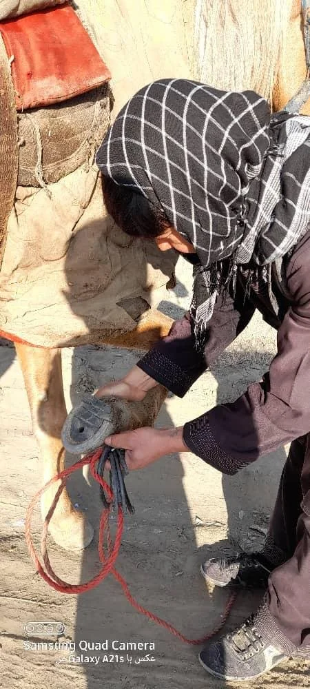 WhatsApp Image 2025-12-31 at 5.11.25 AM.jpeg