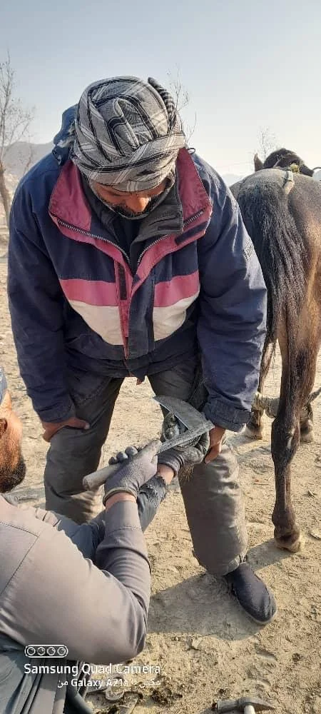 WhatsApp Image 2025-12-31 at 5.11.26 AM.jpeg