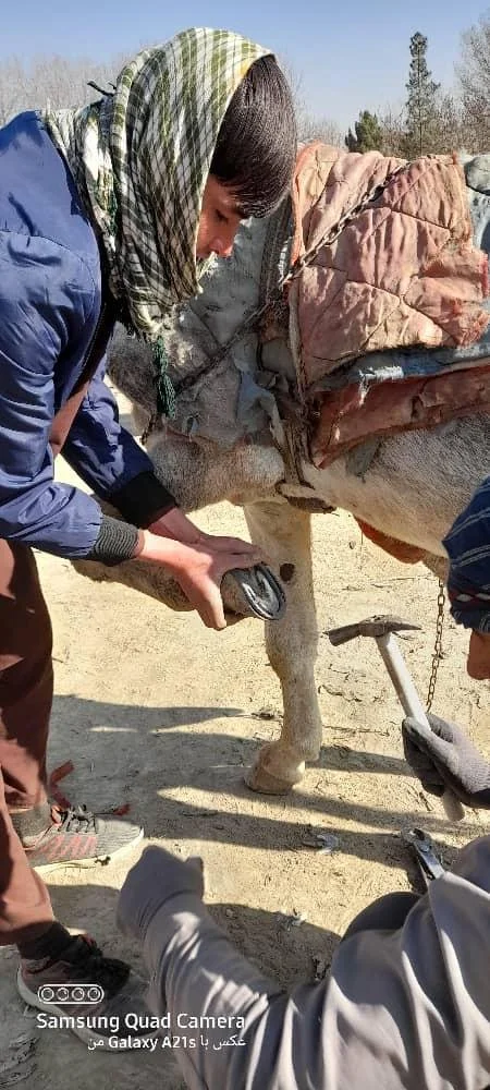 WhatsApp Image 2025-12-31 at 5.11.27 AM.jpeg