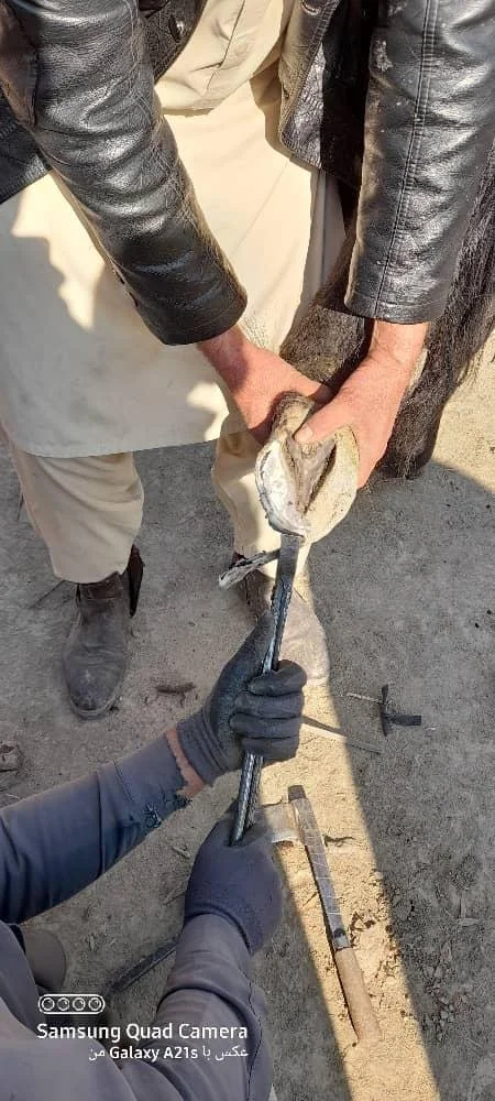 WhatsApp Image 2025-12-31 at 5.11.28 AM.jpeg