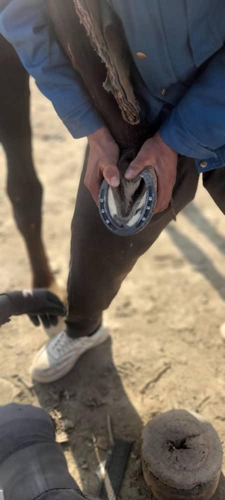 WhatsApp Image 2025-12-31 at 5.11.28 AM(1).jpeg