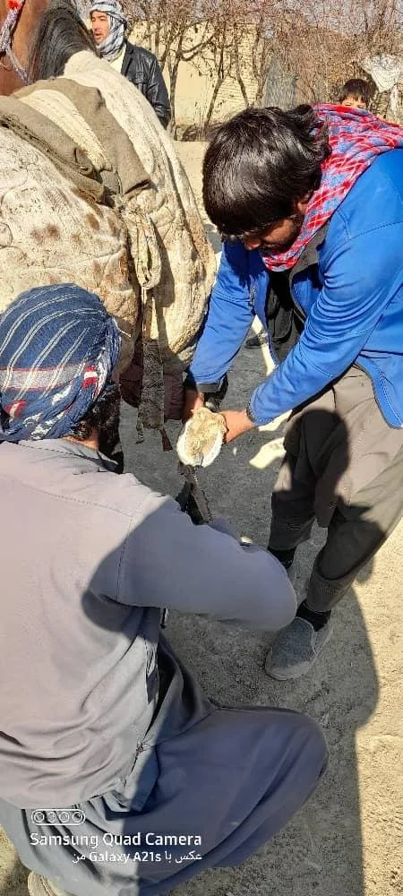 WhatsApp Image 2025-12-31 at 5.11.28 AM(2).jpeg