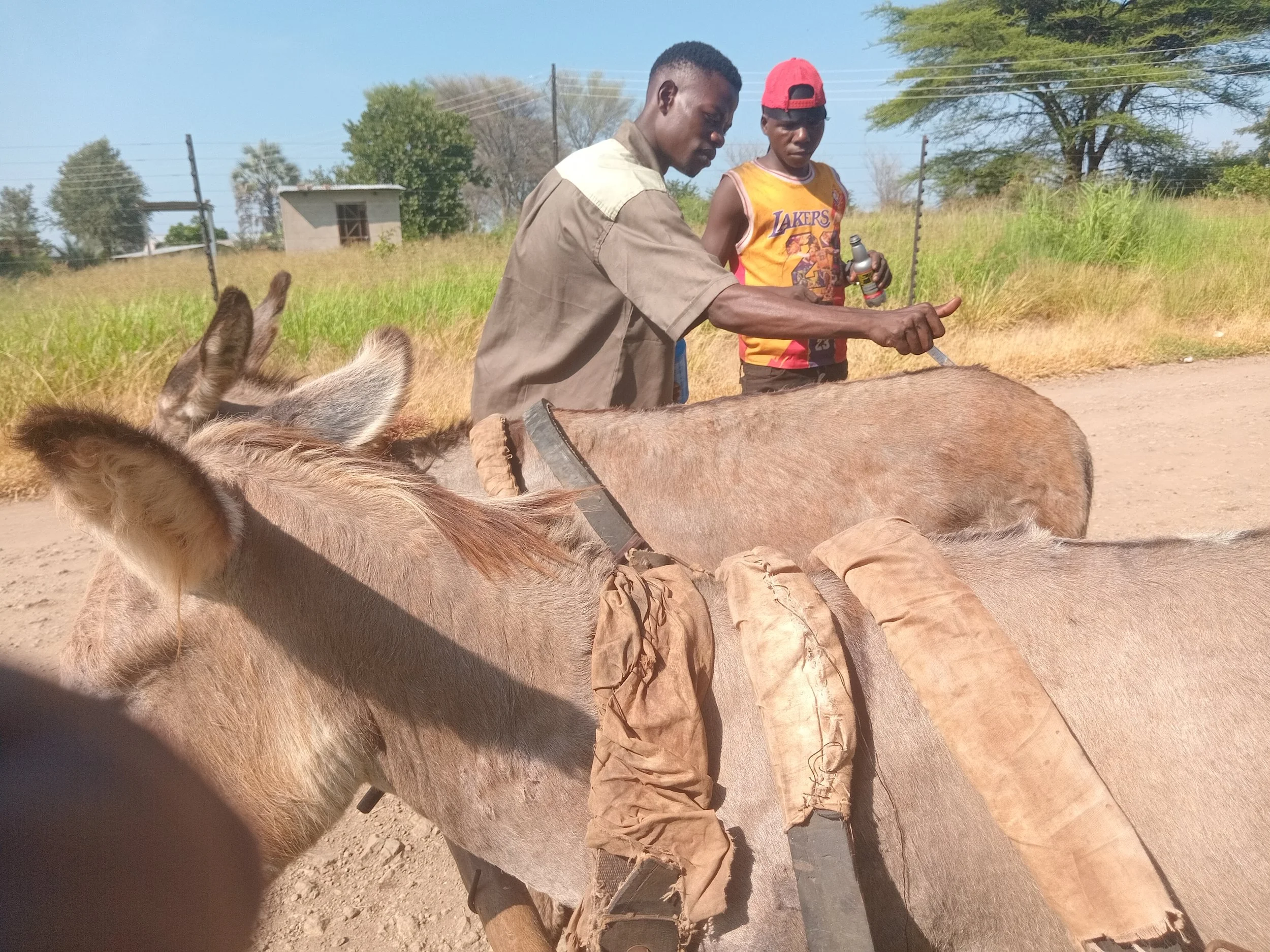 Dipping at Libuyu market .jpg