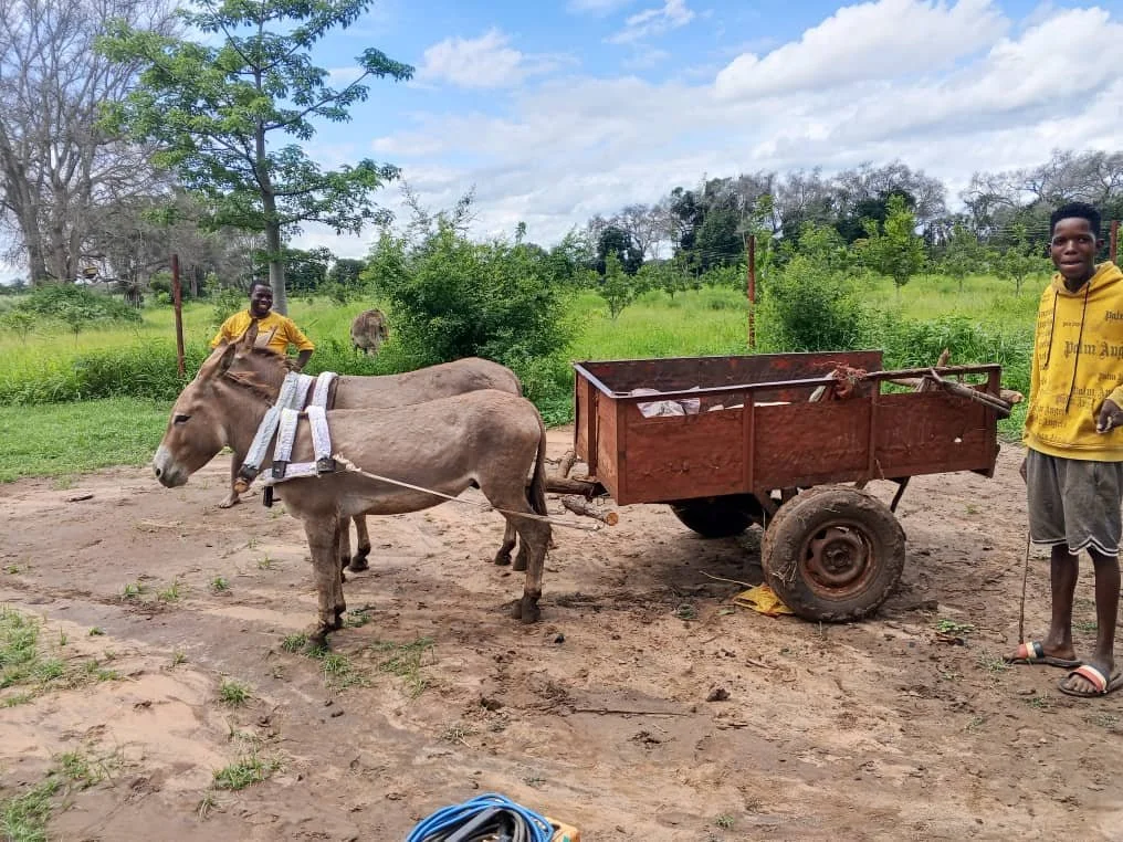 Maramba Farm Workshop Drop in _After_ .jpg