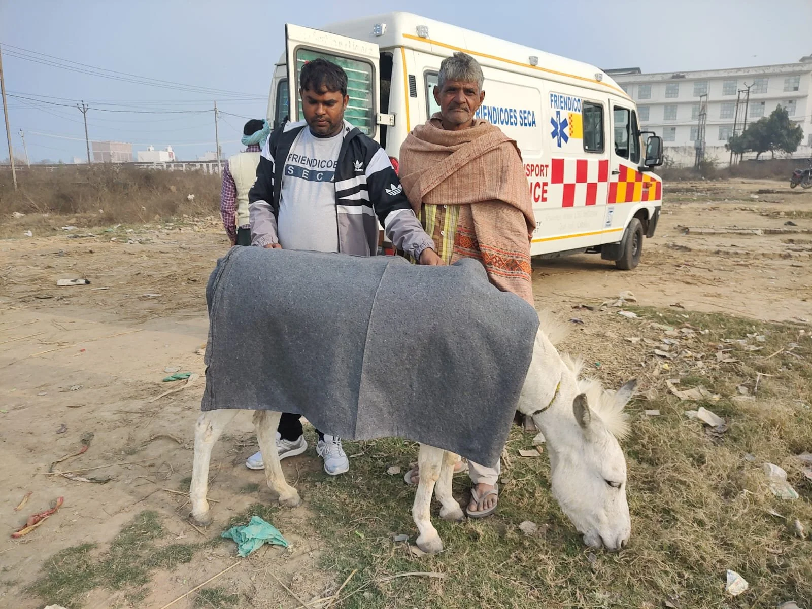 suffering alleviated for Over 900 working equines in india