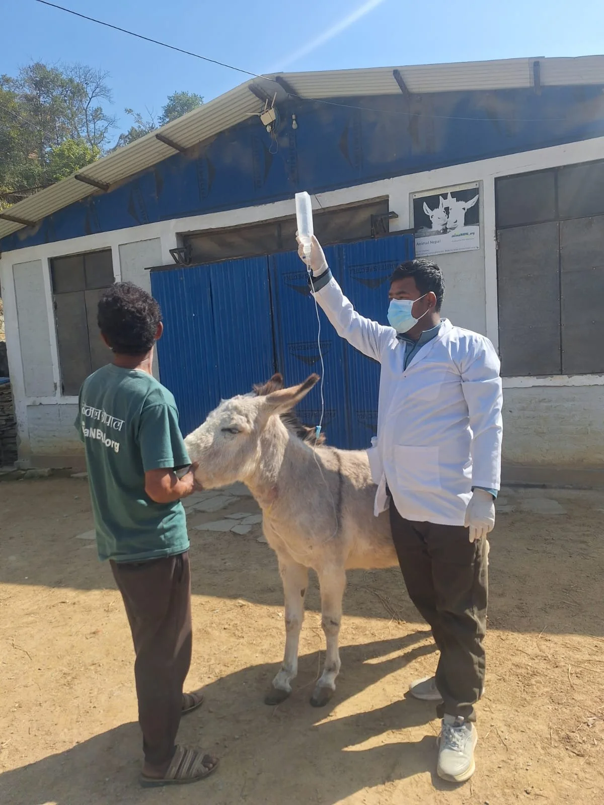providing the best of care for residents at Animal nepal’s sanctuary