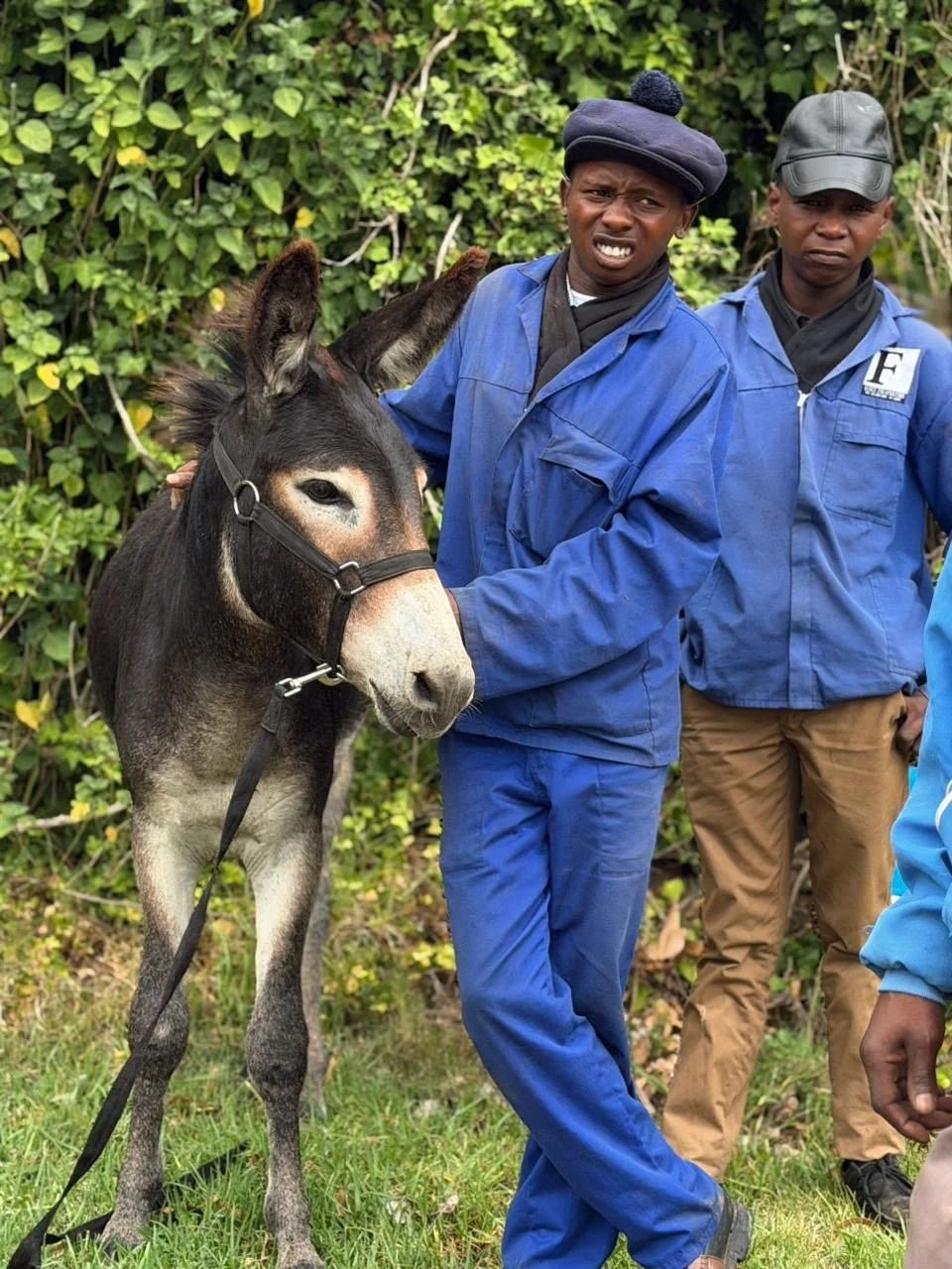 south african team remains committed to animal welfare despite devastating fire