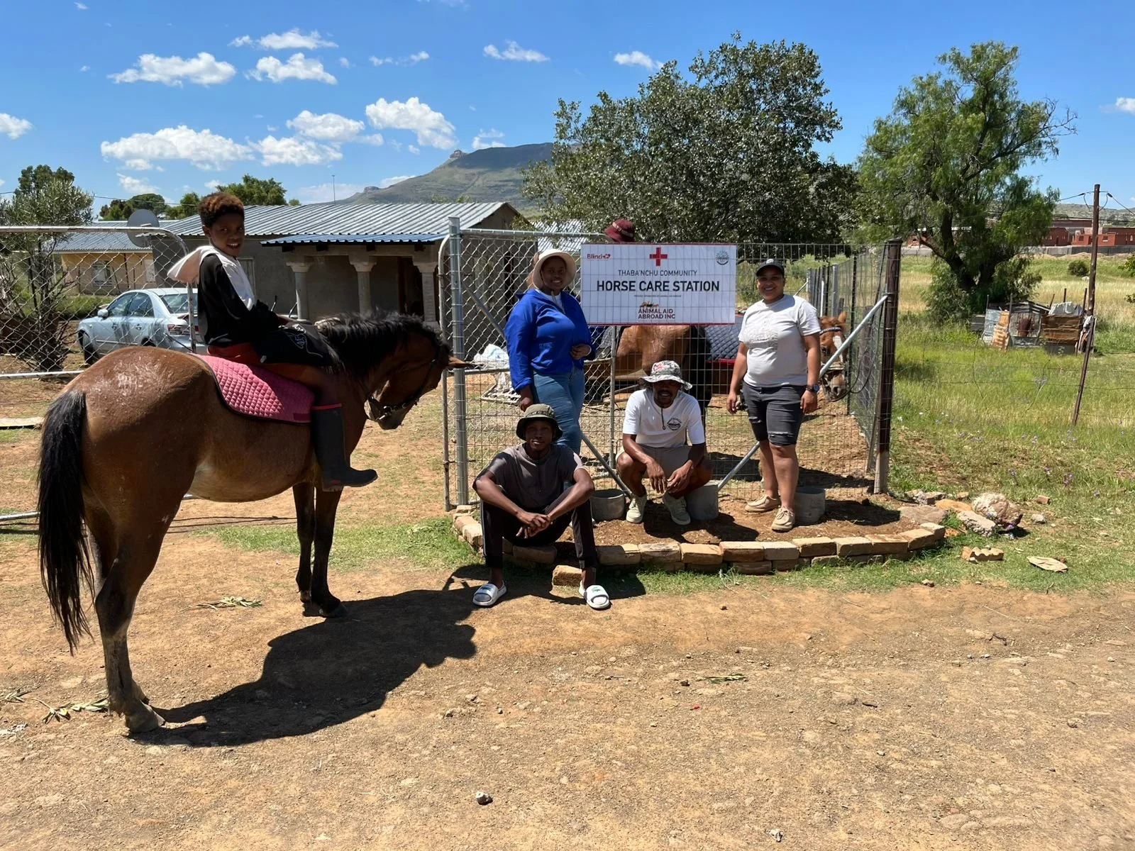 Community Care Stations Enhance Wellbeing for Working Equines in South Africa