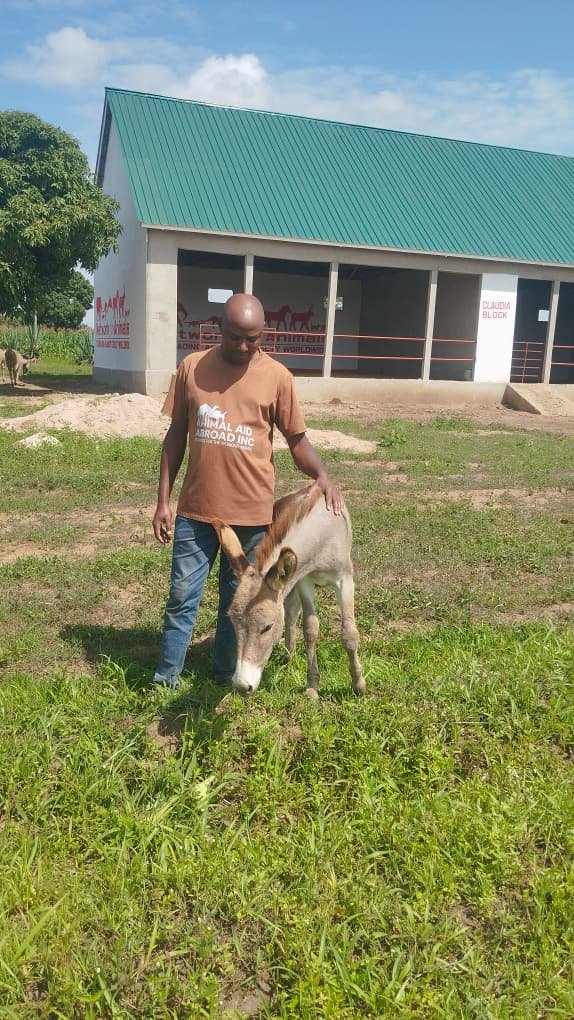 Donkey Sanctuary in Tanzania Transforms Suffering into Care and Compassion