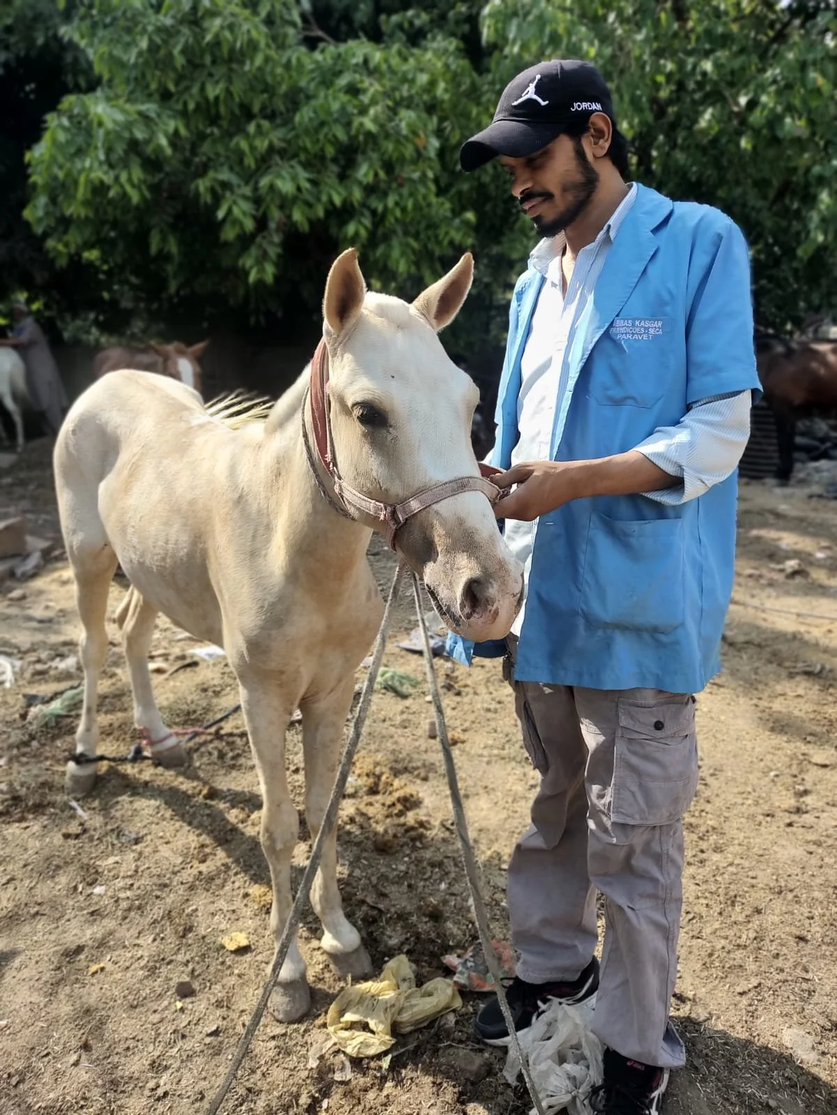 Over 900 Equines Given Veterinary Care in India, Plus Four More Animals Rescued