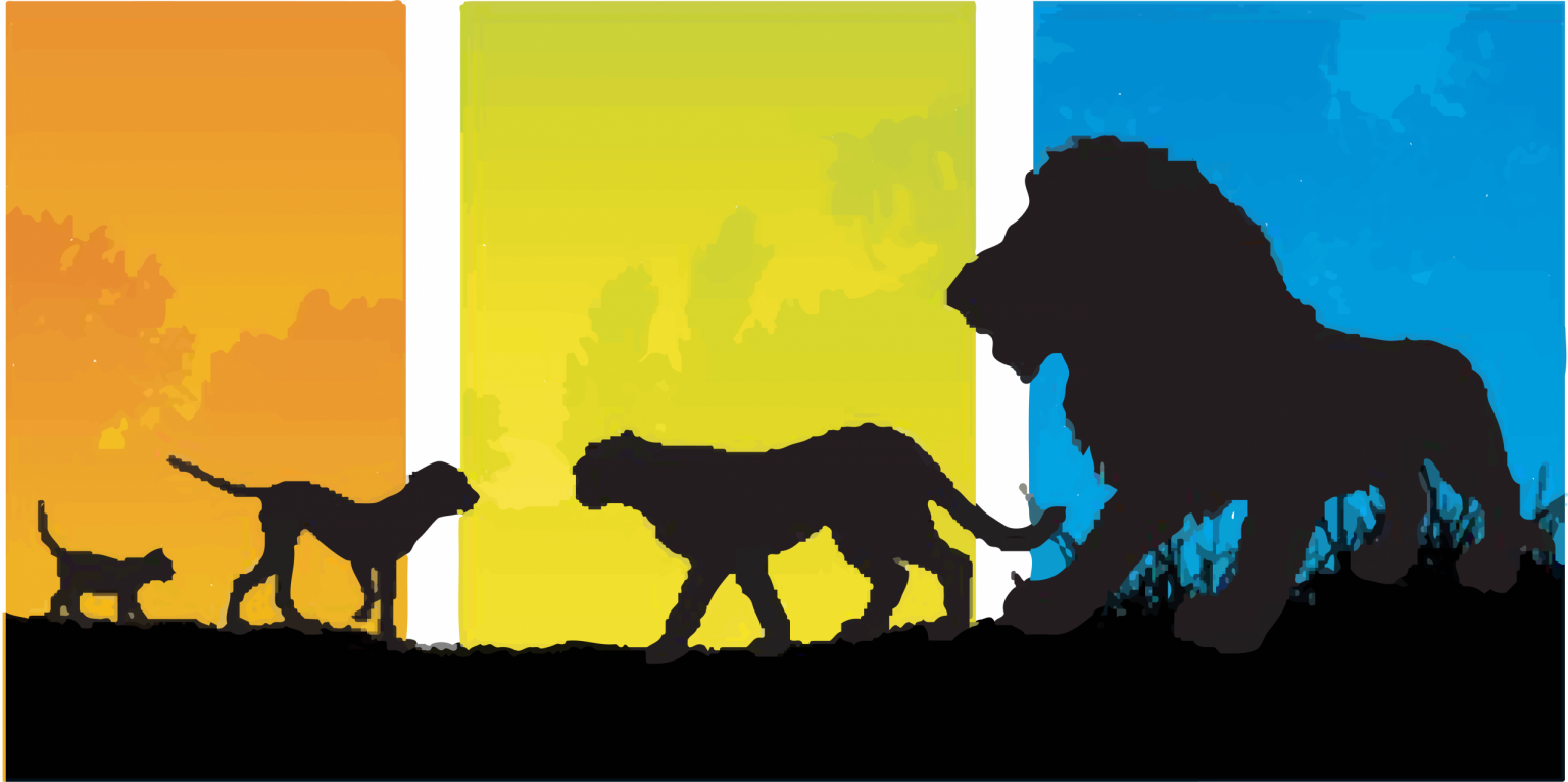 meet our new partner group in botswana: maun animal welfare society (MAWS)