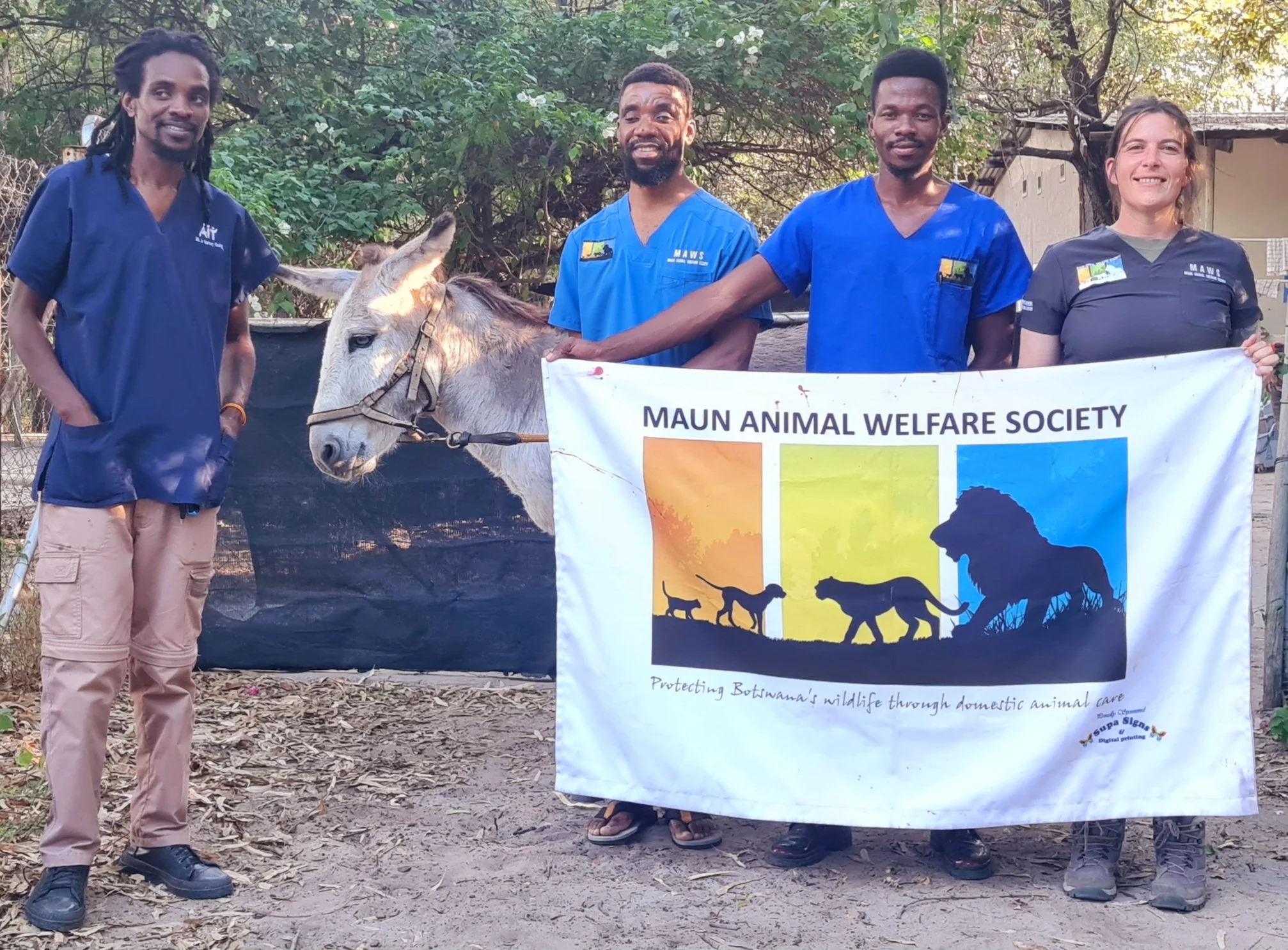 meet our new partner group in botswana: maun animal welfare society (MAWS)