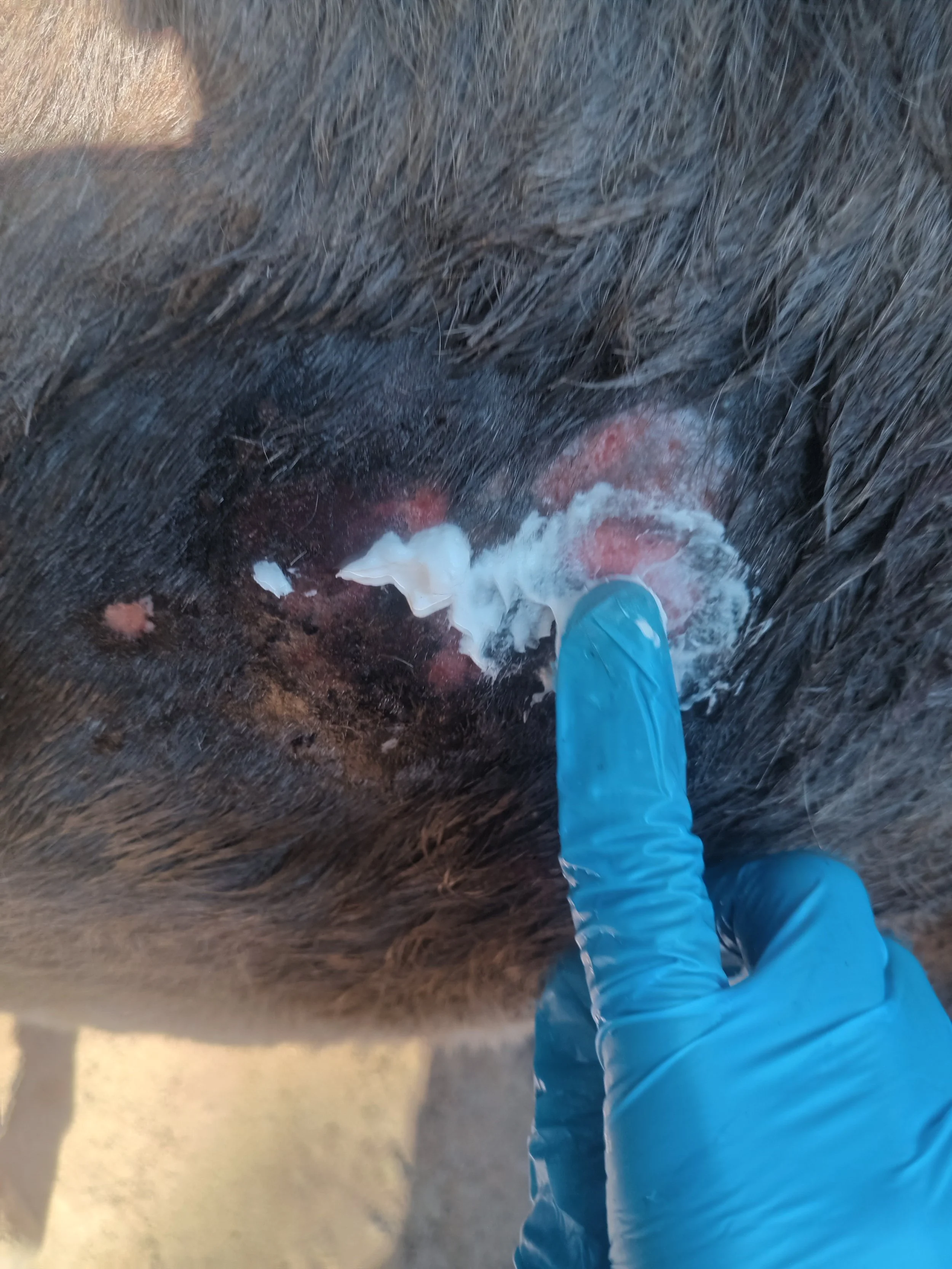 Wound treatment at Libuyu (2).jpg
