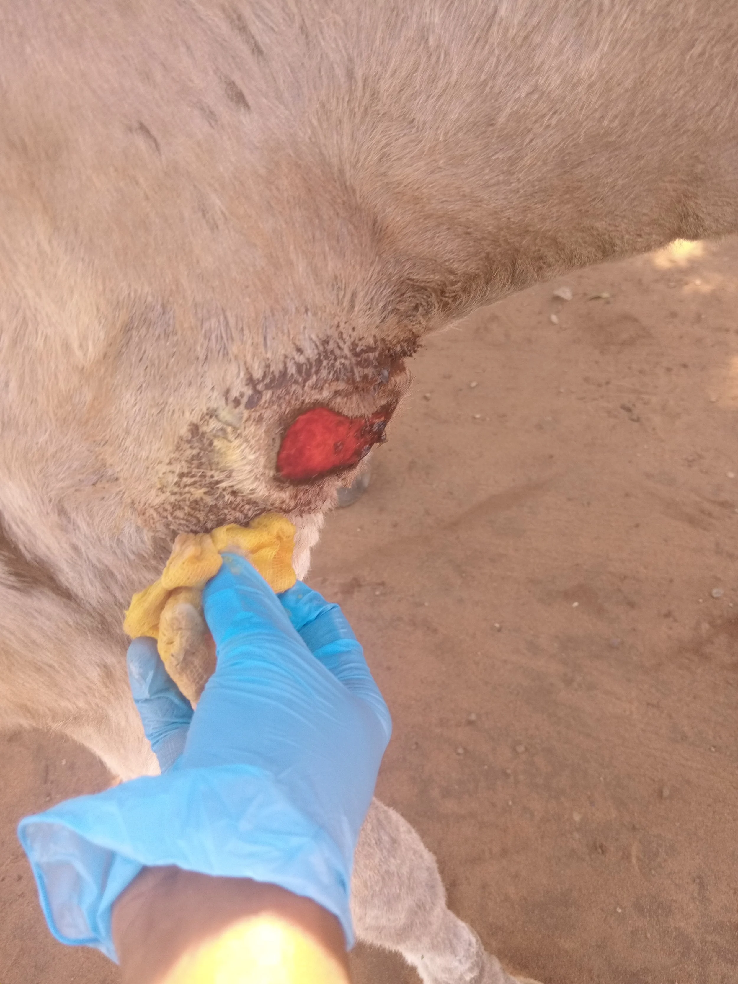Wound treatment at Libuyu (1).jpg
