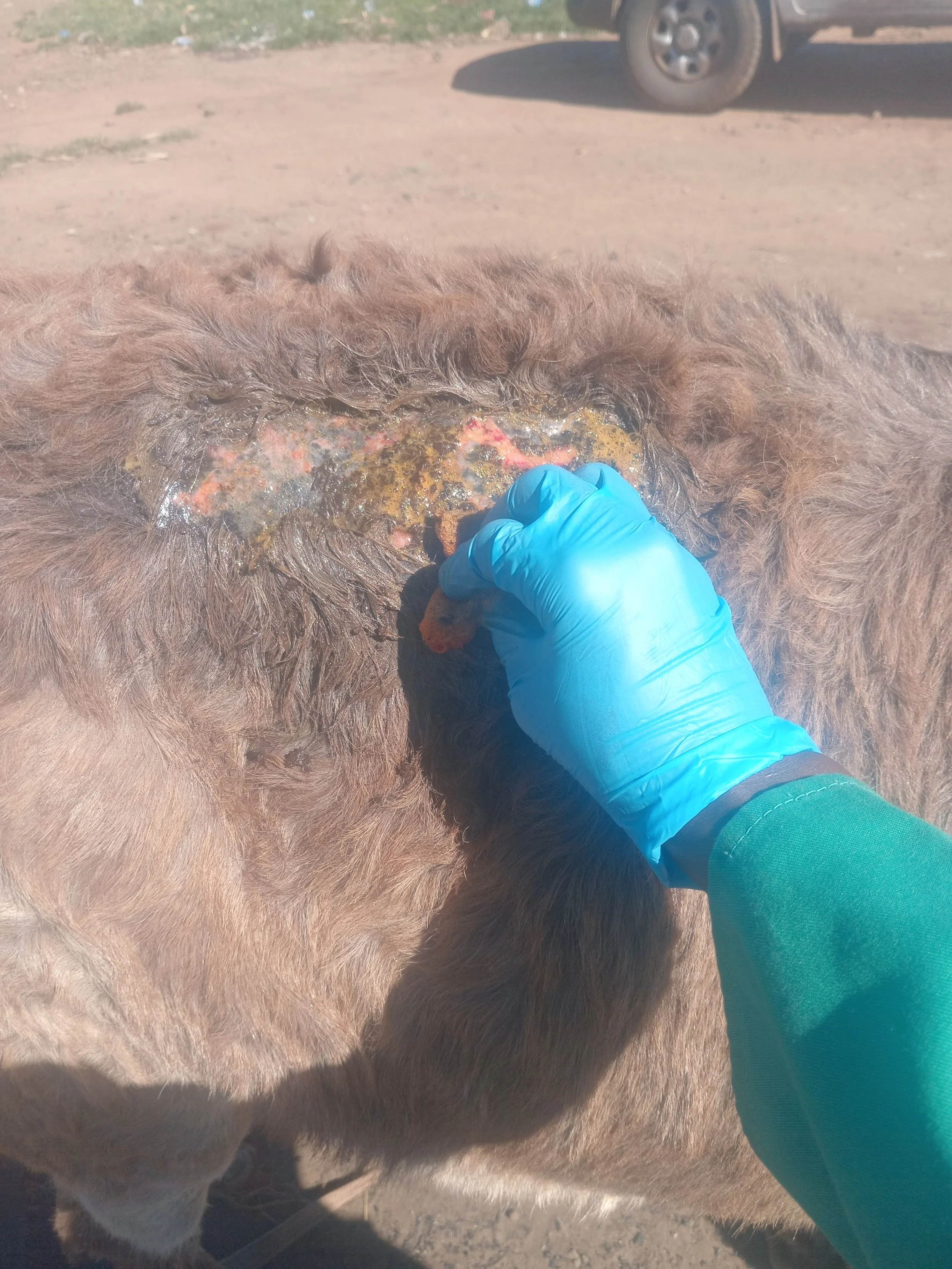 Wound treatment at Libuyu.jpg