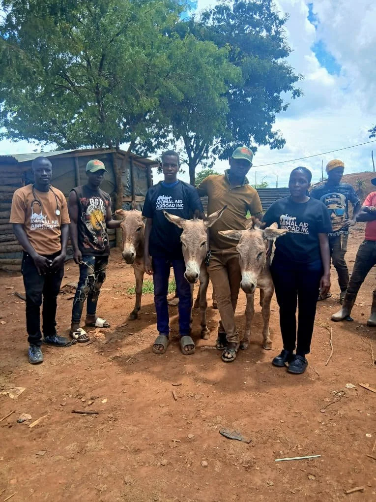 Increasing Awareness and Understanding of Working Donkey Welfare in Geita, Tanzania
