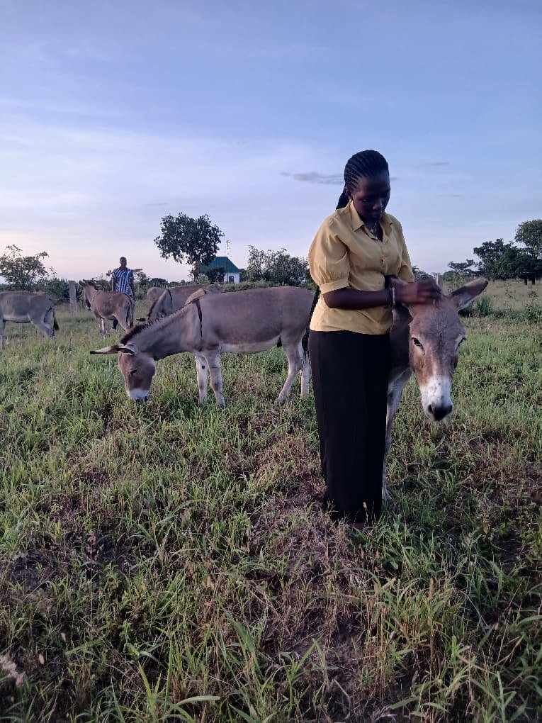 Tanzanian Sanctuary Offers Vulnerable Donkeys Dignity, Care &amp; Protection