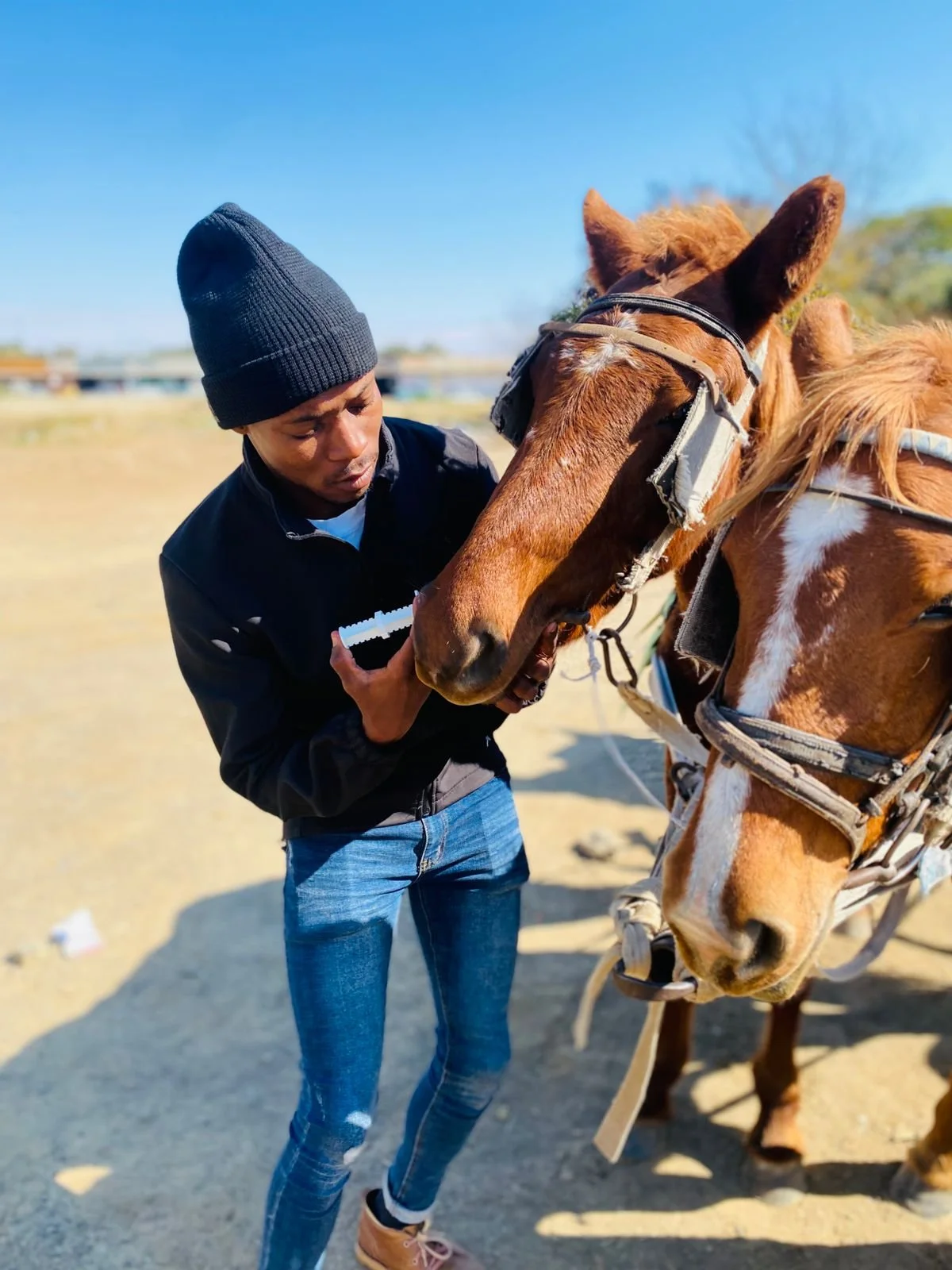south african team remain committed to improving working equine welfare