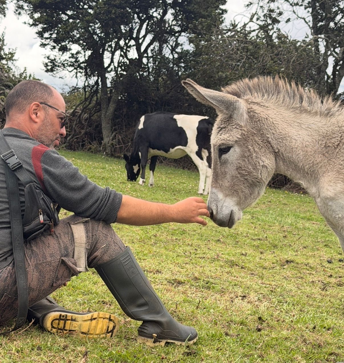 Offering Comfort, Dignity and Quality of Life for Working Equines in Colombia