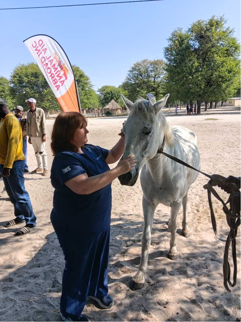 Improving the Lives of Working Animals in Botswana with Veterinary Care, Education &amp; Humane Equipment