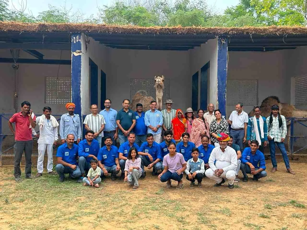 celebrating World camel day in india