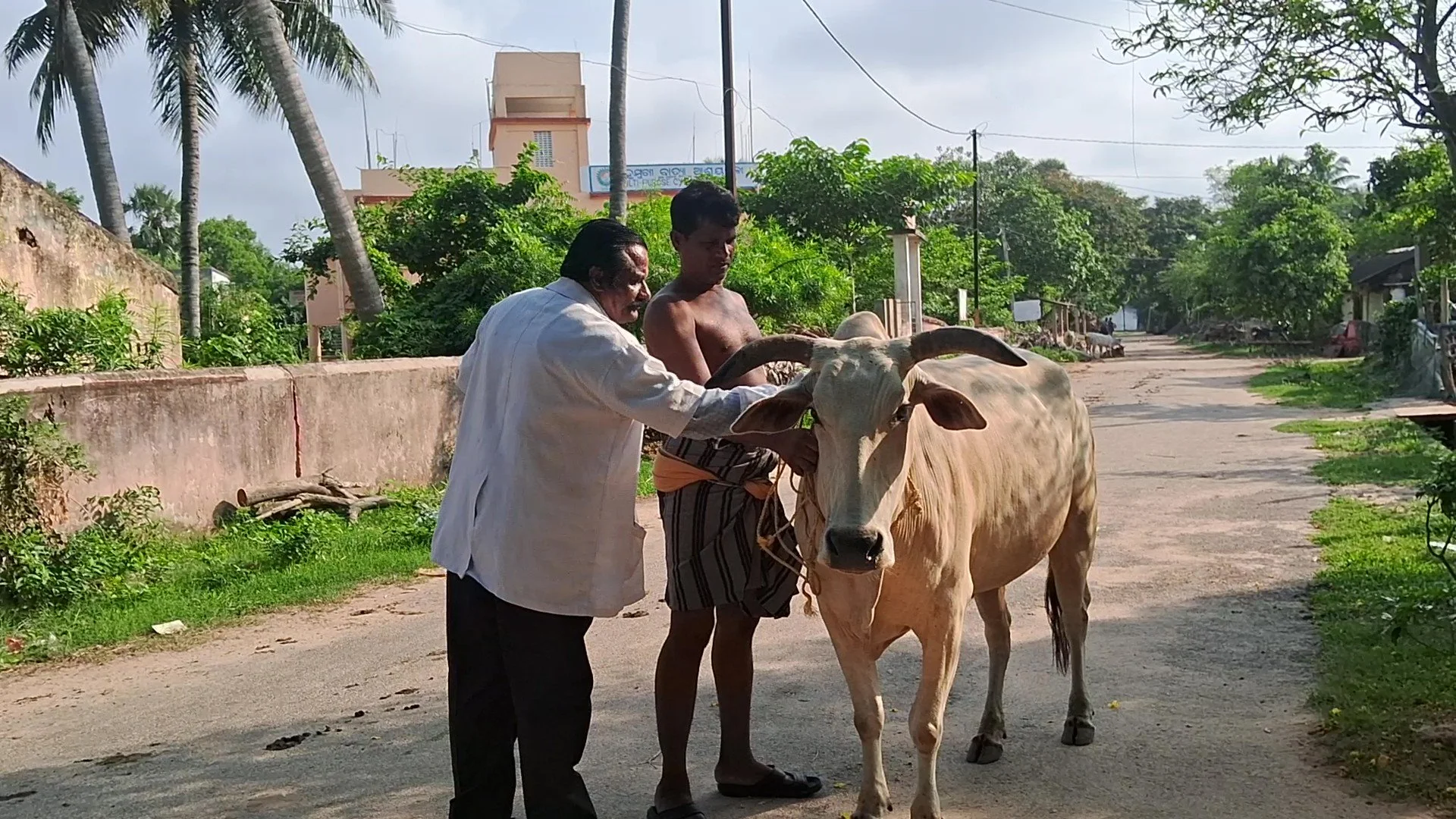 Veterinary Care and Owner Education Strengthen Animal Welfare in Rural India