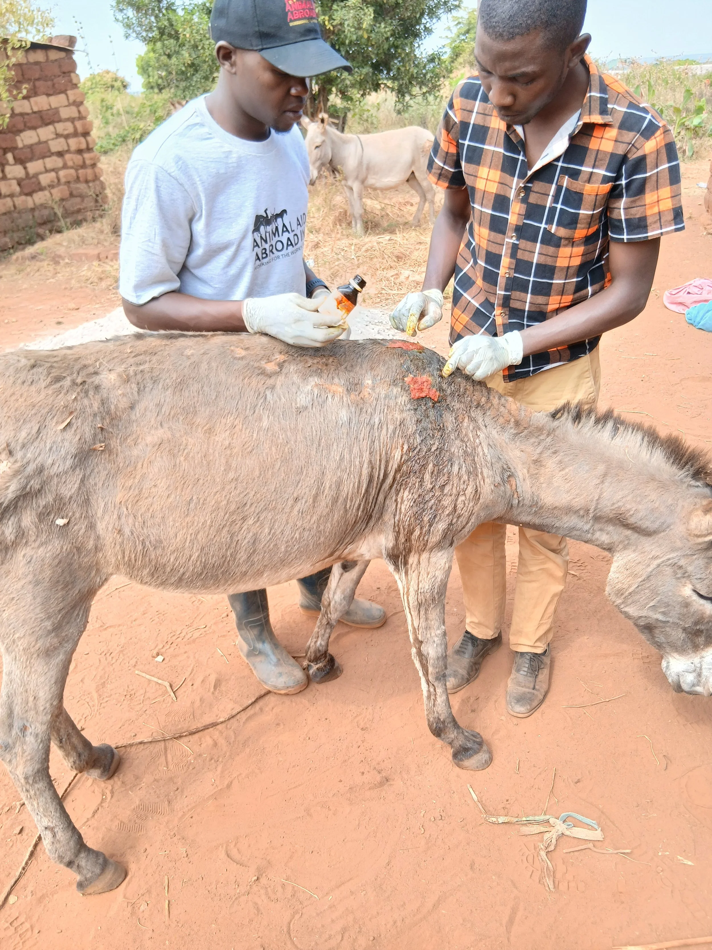 13. Masalu wound management.jpg
