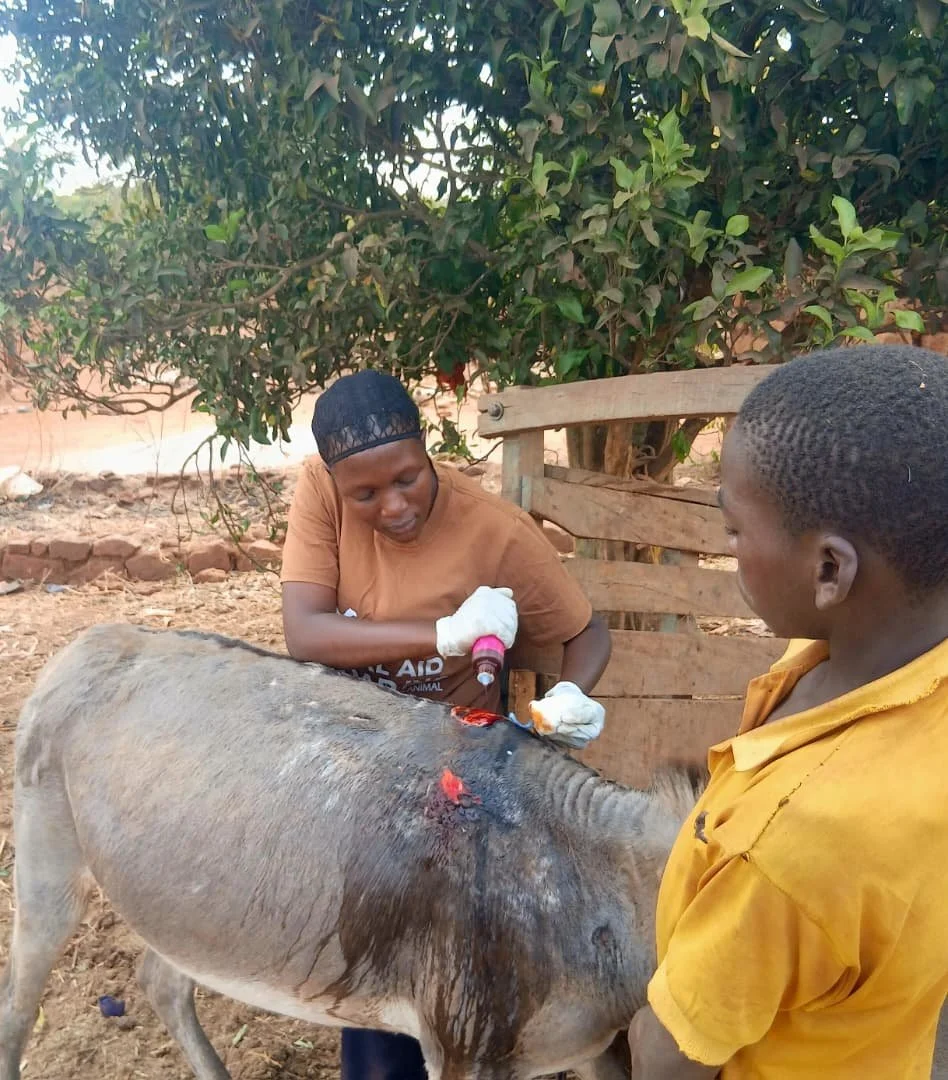 14. ligwa wound managent.jpg