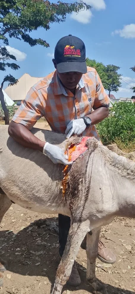 15. Mambio wound management.jpg