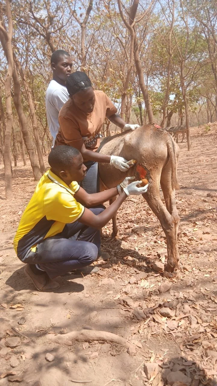 16. Mambosho wound management.jpg
