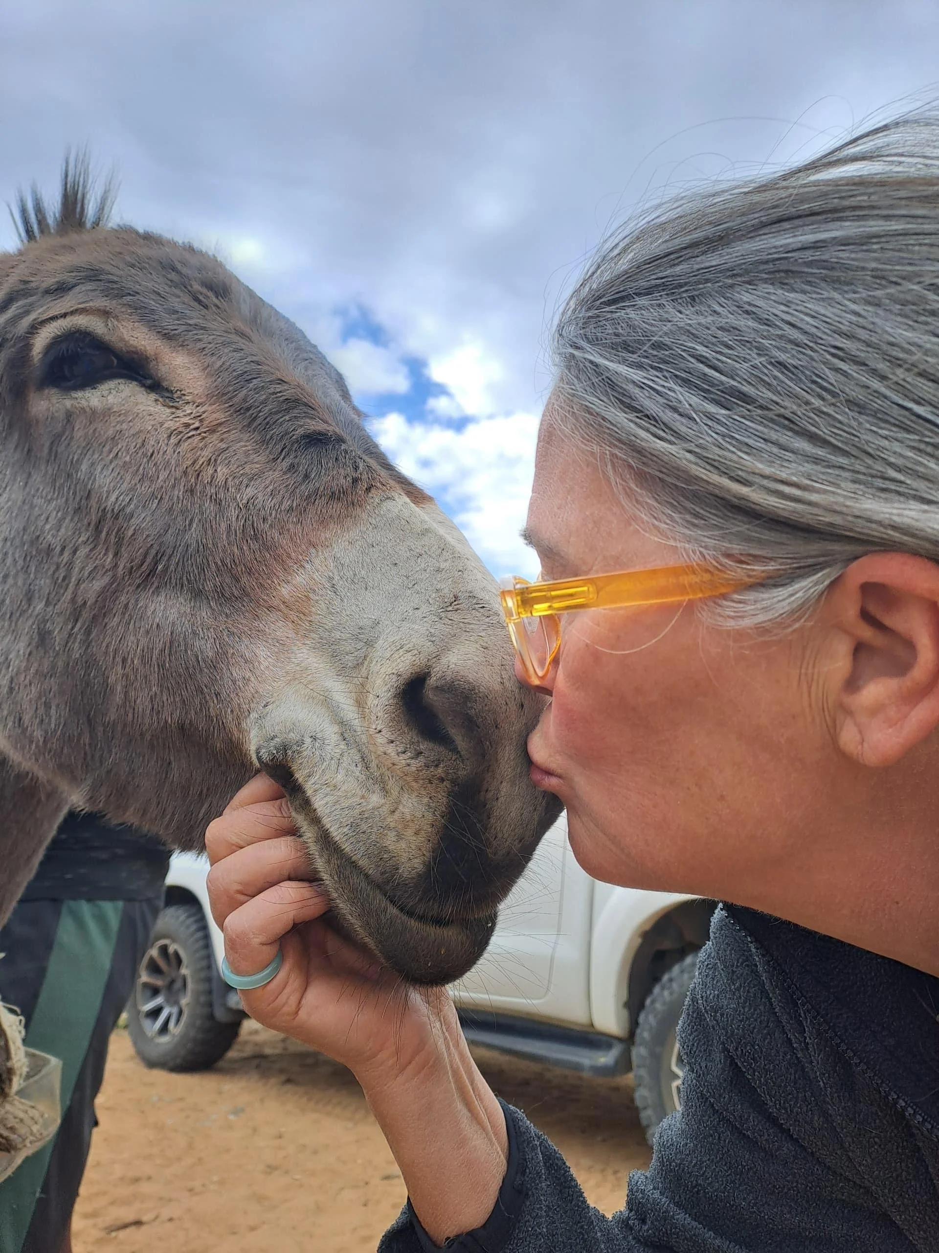 new partnership leads to better care &amp; welfare for donkeys in namibia