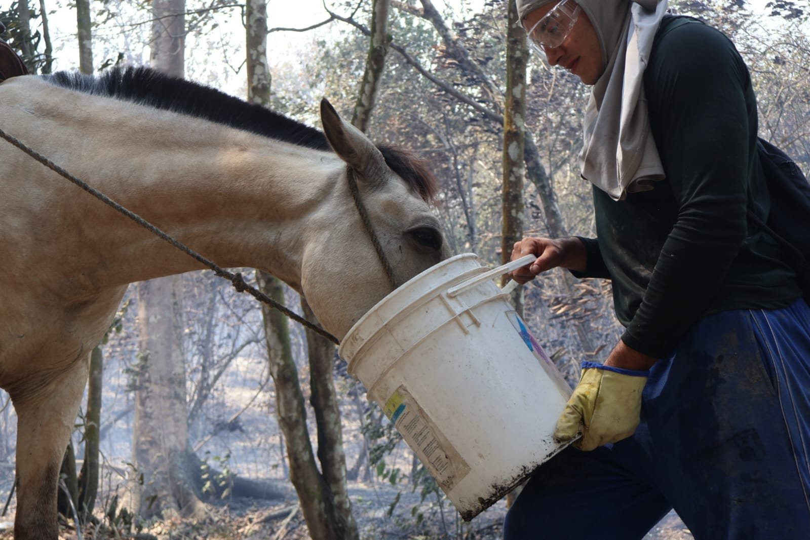📣 Colombia’s Animals Need Our Help!