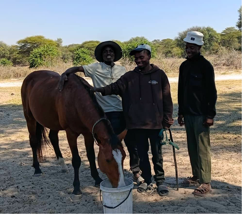 turning pain &amp; cruelty into healing &amp; hope: caring for injured or abused equines in botswana